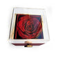 To My Beautiful Mom | Best Gift for Mom | Best Gift for Mothers Day | Best gift from Kids